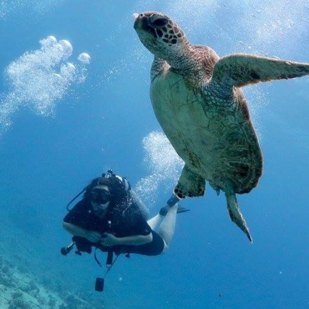 Meet your Posher, Diana rohini